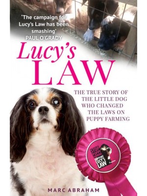 Lucy's Law The Story of a Little Dog Who Changed the World