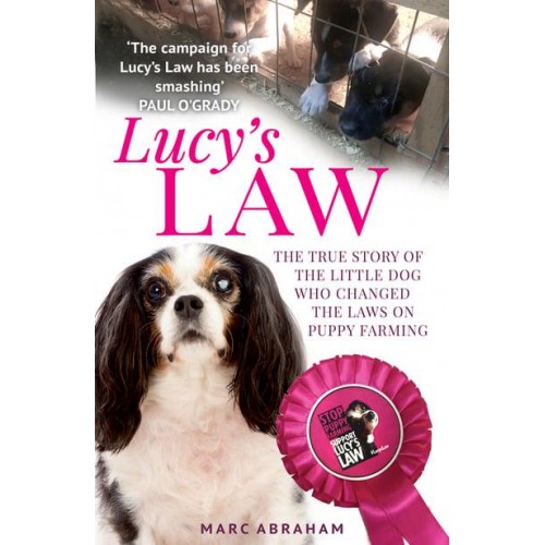 Lucy's Law The Story of a Little Dog Who Changed the World