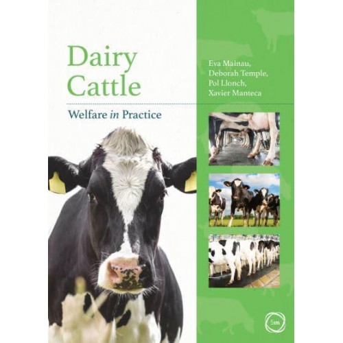 Dairy Cattle Welfare in Practice