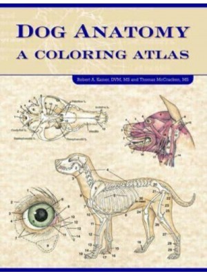 Dog Anatomy A Coloring Atlas