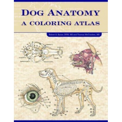 Dog Anatomy A Coloring Atlas