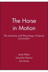 The Horse in Motion