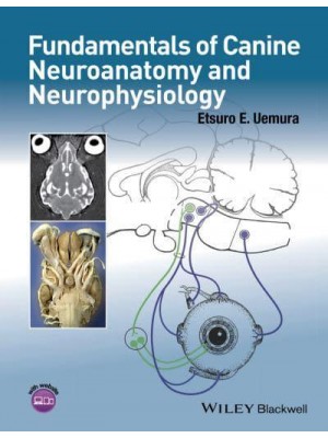 Fundamentals of Canine Neuroanatomy and Neurophysiology