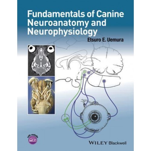 Fundamentals of Canine Neuroanatomy and Neurophysiology