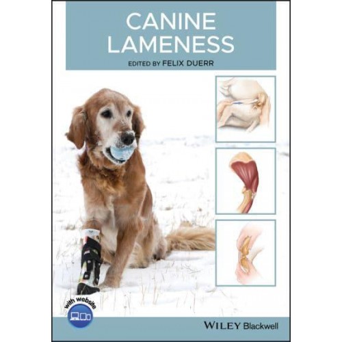 Canine Lameness