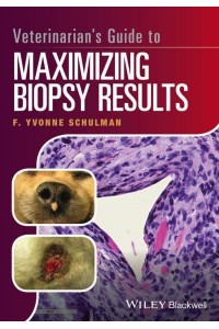 Veterinarian's Guide to Maximizing Biopsy Results