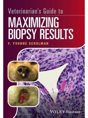 Veterinarian's Guide to Maximizing Biopsy Results