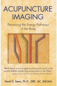 Acupuncture Imaging Perceiving The Energy Pathways of the Body