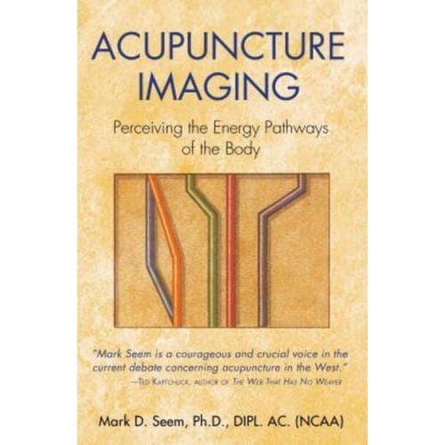 Acupuncture Imaging Perceiving The Energy Pathways of the Body
