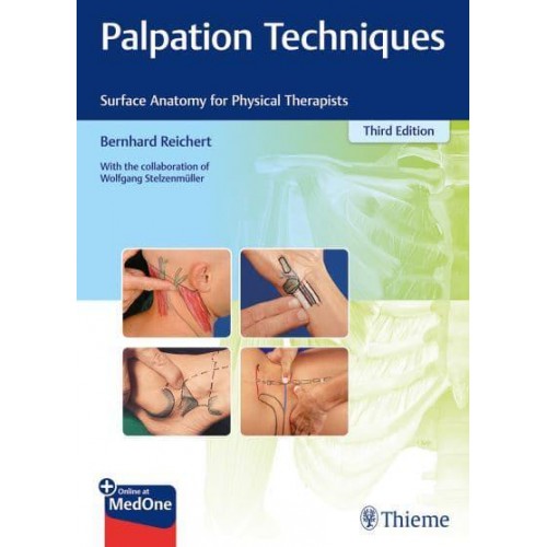 Palpation Techniques Surface Anatomy for Physical Therapists