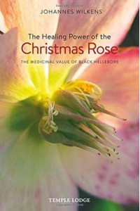 The Healing Power of the Christmas Rose The Medicinal Value of Black Hellebore