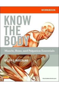 Workbook for Know the Body - Muscle, Bone, and Palpation Essentials