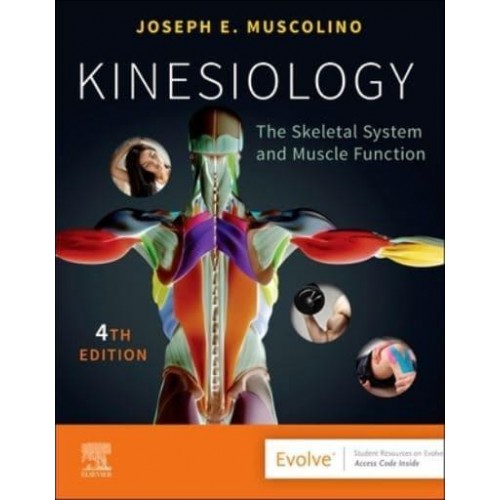 Kinesiology The Skeletal System and Muscle Function