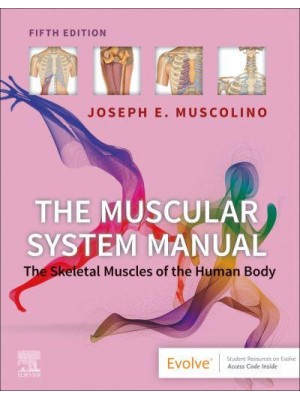 The Muscular System Manual The Skeletal Muscles of the Human Body