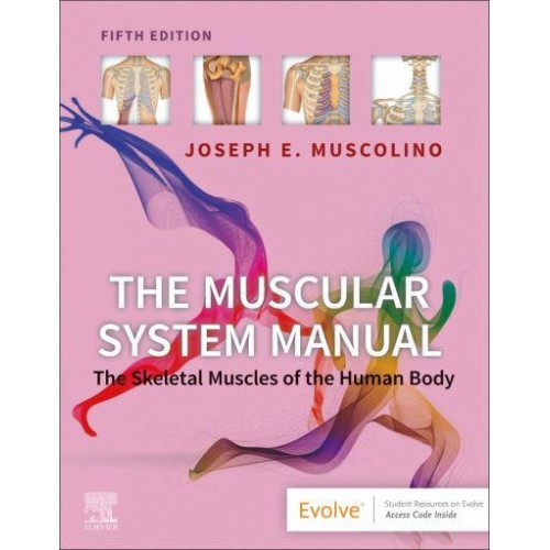 The Muscular System Manual The Skeletal Muscles of the Human Body