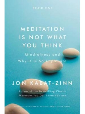 Meditation Is Not What You Think Mindfulness and Why It Is So Important