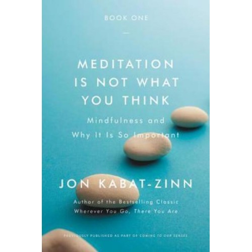 Meditation Is Not What You Think Mindfulness and Why It Is So Important