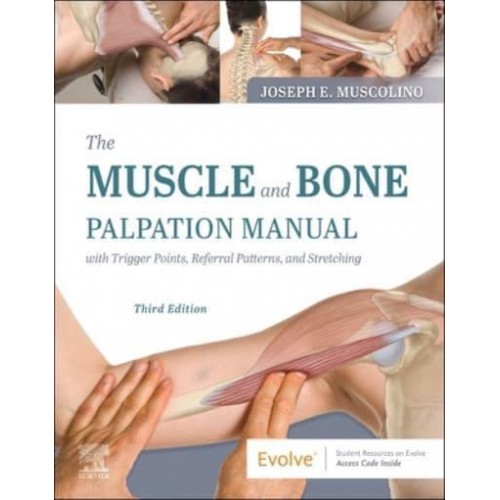 The Muscle and Bone Palpation Manual With Trigger Points, Referral Patterns, and Stretching