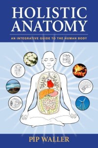 Holistic Anatomy An Integrative Guide to the Human Body