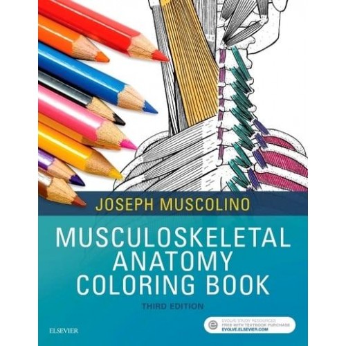 Musculoskeletal Anatomy Coloring Book
