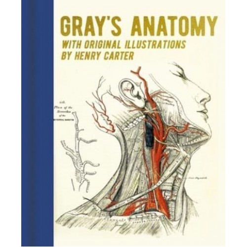 Gray's Anatomy With Original Illustrations by Henry Carter - Arcturus Gilded Classics