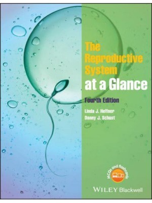 The Reproductive System at a Glance - At a Glance