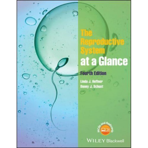 The Reproductive System at a Glance - At a Glance