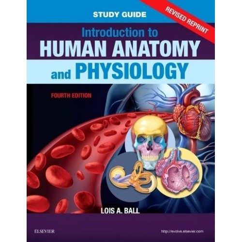 Study Guide for Introduction to Human Anatomy and Physiology, Fourth Edition