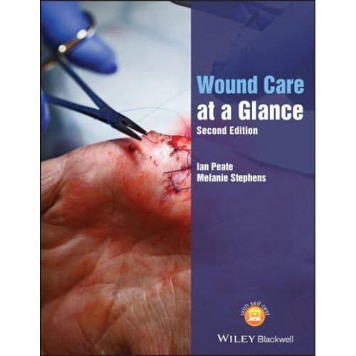 Wound Care at a Glance - At a Glance (Nursing and Healthcare)