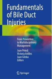 Fundamentals of Bile Duct Injuries From Prevention to Multidisciplinary Management