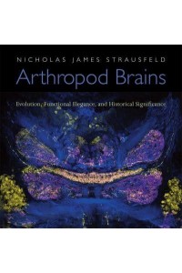 Arthropod Brains Evolution, Functional Elegance, and Historical Significance