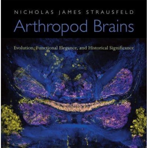Arthropod Brains Evolution, Functional Elegance, and Historical Significance