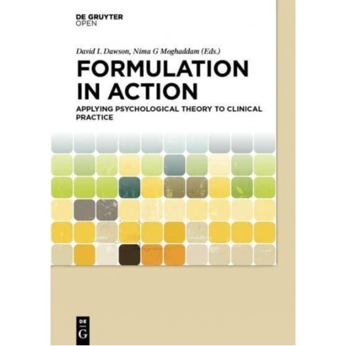 Formulation in Action Applying Psychological Theory to Clinical Practice