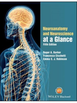 Neuroanatomy and Neuroscience at a Glance - At a Glance