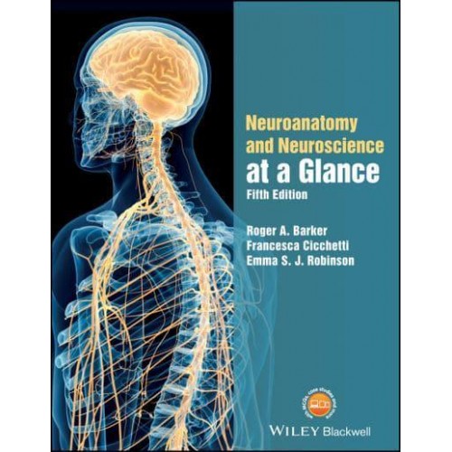 Neuroanatomy and Neuroscience at a Glance - At a Glance