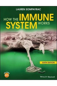 How the Immune System Works - The How It Works Series