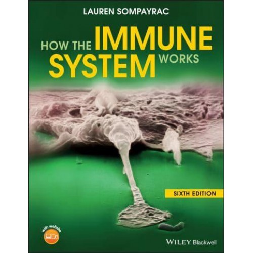 How the Immune System Works - The How It Works Series