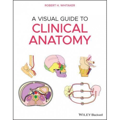 A Visual Guide to Clinical Anatomy