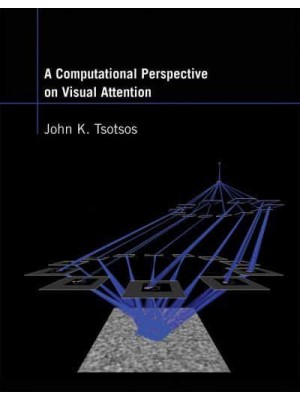 A Computational Perspective on Visual Attention