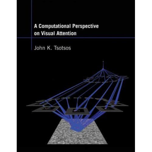 A Computational Perspective on Visual Attention