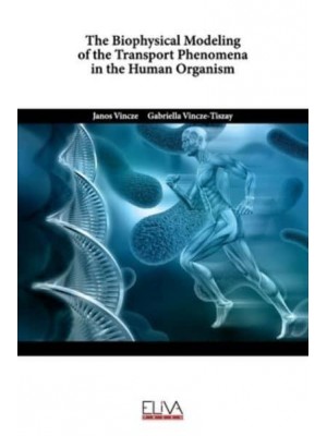 The Biophysical Modeling of the Transport Phenomena in the Human Organism