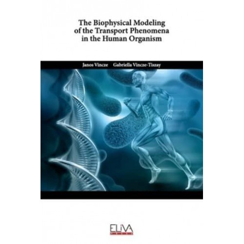 The Biophysical Modeling of the Transport Phenomena in the Human Organism
