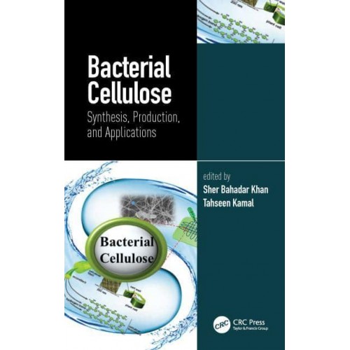 Bacterial Cellulose Synthesis, Production, and Applications