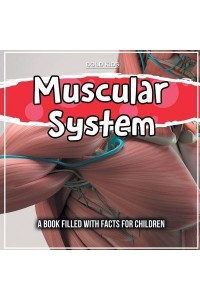 Muscular System: A Book Filled With Facts For Children