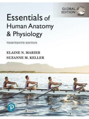 Essentials of Human Anatomy & Physiology