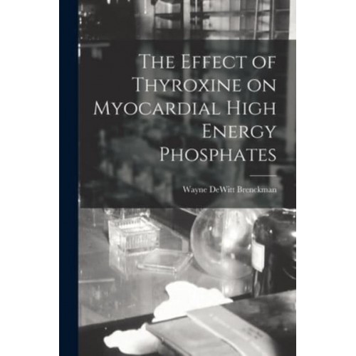 The Effect of Thyroxine on Myocardial High Energy Phosphates