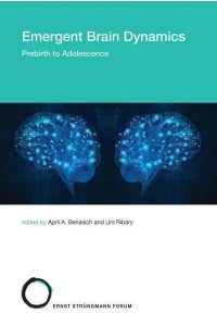 Emergent Brain Dynamics Prebirth to Adolescence - Strüngmann Forum Reports