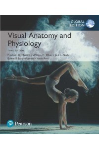 Visual Anatomy & Physiology