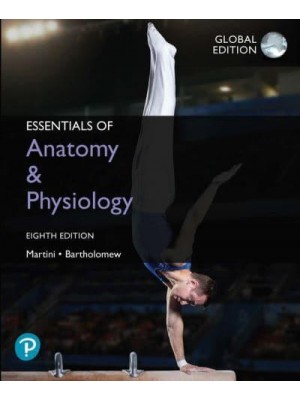 Essentials of Anatomy & Physiology