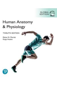 Human Anatomy & Physiology